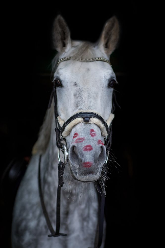 Photograph by Ольга Мазурова