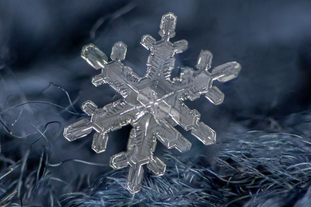 Photograph by Tsvetan Ganev