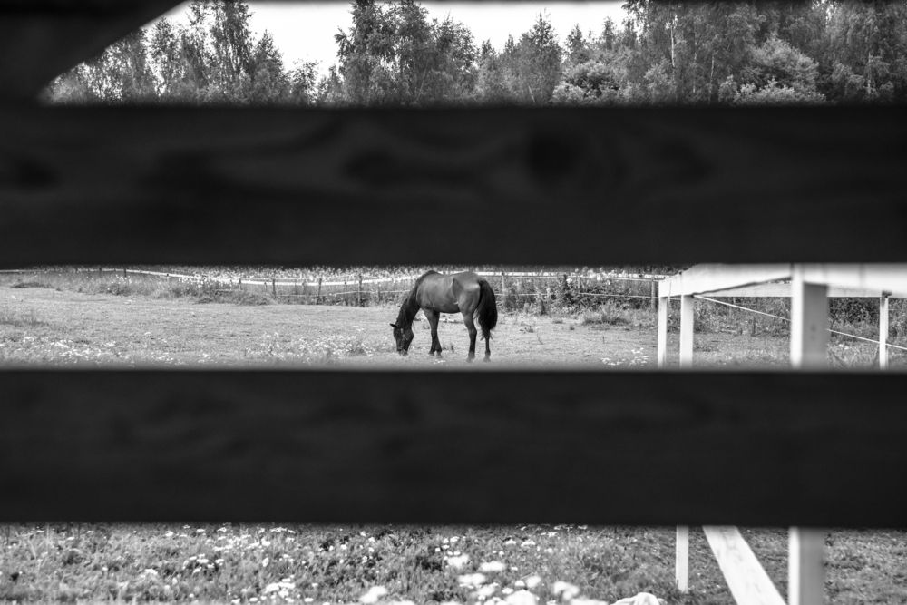 Photograph by Света Трифоненкова