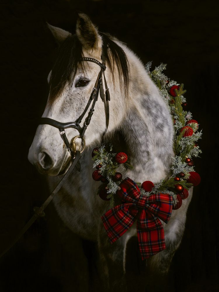 Photograph by Марина Красовская