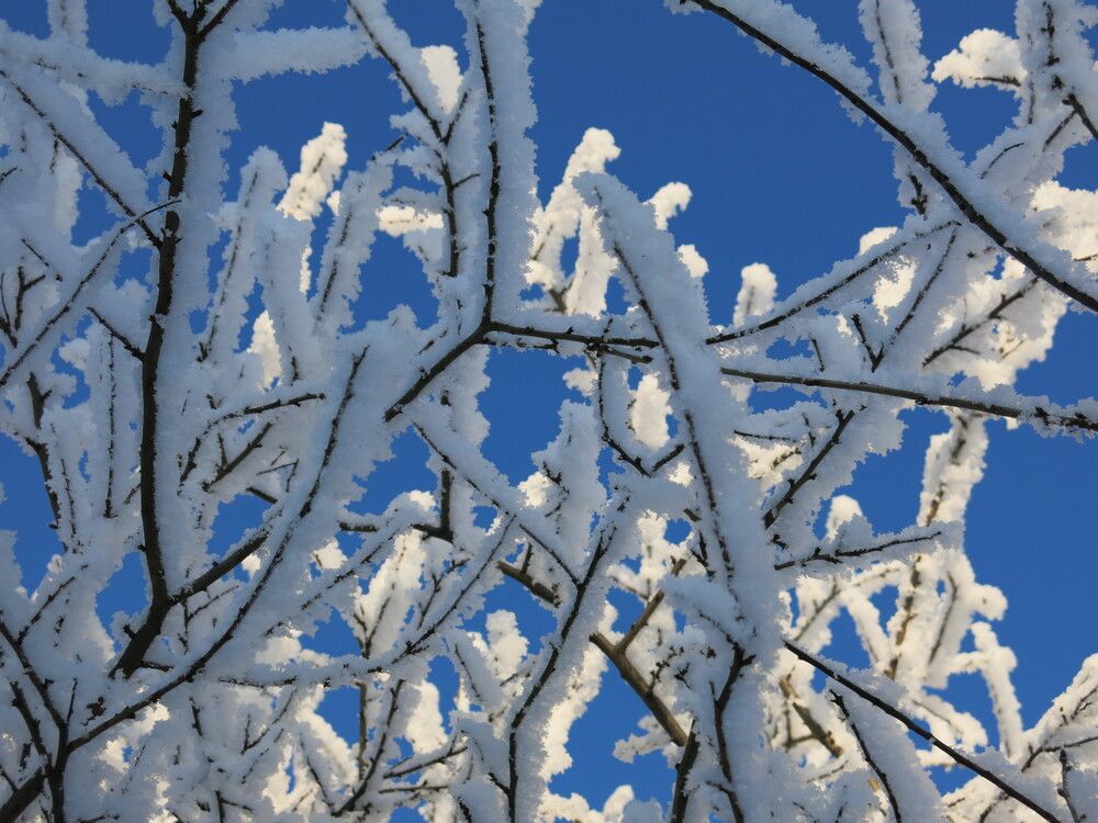 Photograph by ЭЛЬМИРА  ИСМАИЛОВА