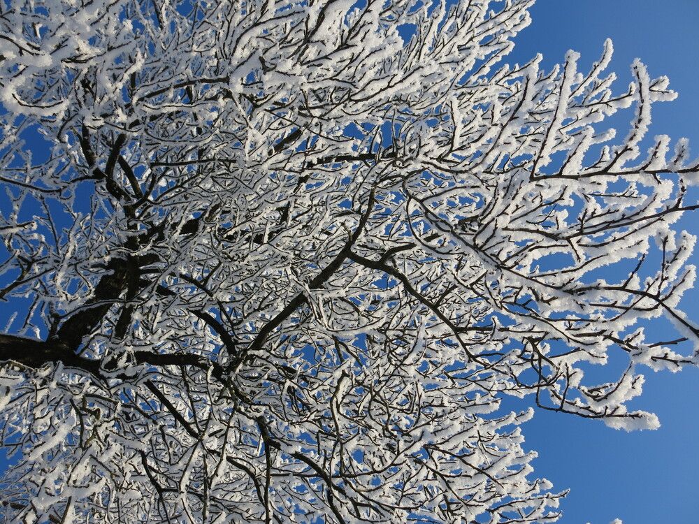 Photograph by ЭЛЬМИРА  ИСМАИЛОВА