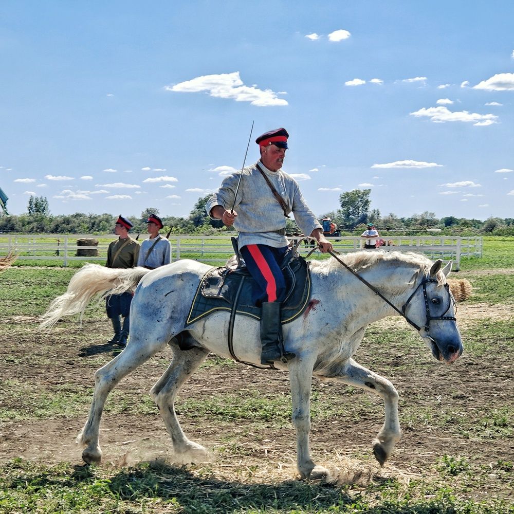 Фотография автора Сергей Кошин