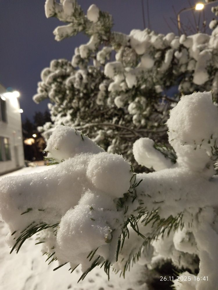 Photograph by Irena TURČINSKAJA