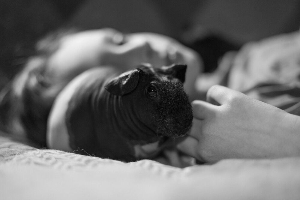 Photograph by Алина Павлова