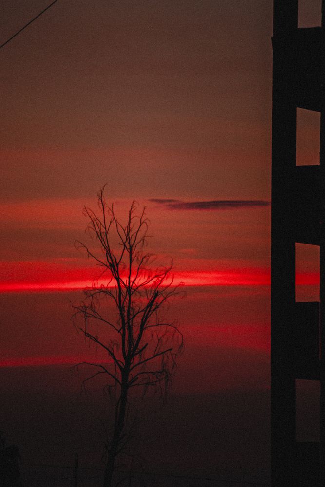 Photograph by Софья Кондакова
