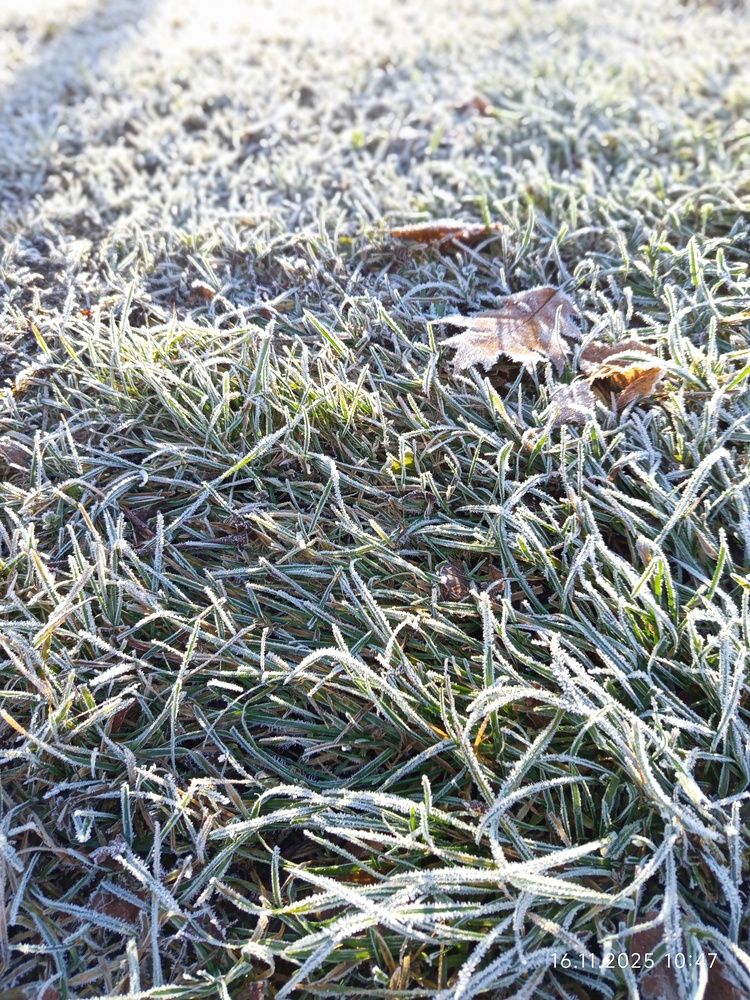 Photograph by Irena TURČINSKAJA