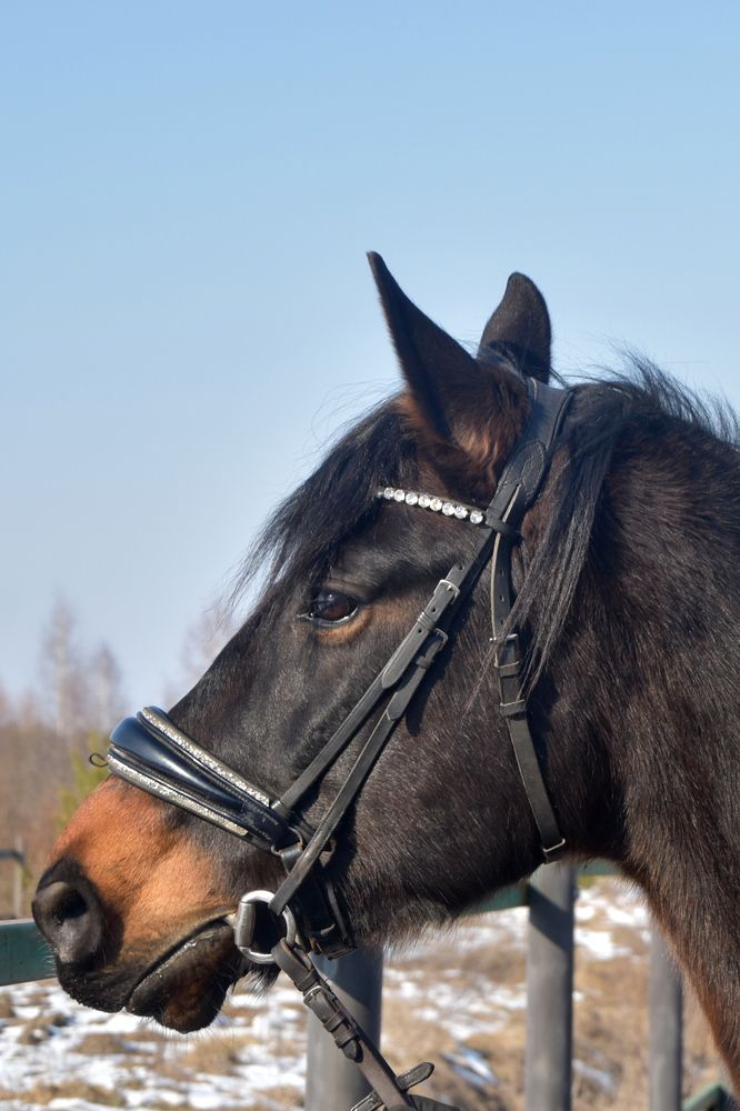 Photograph by Dimon Grinih