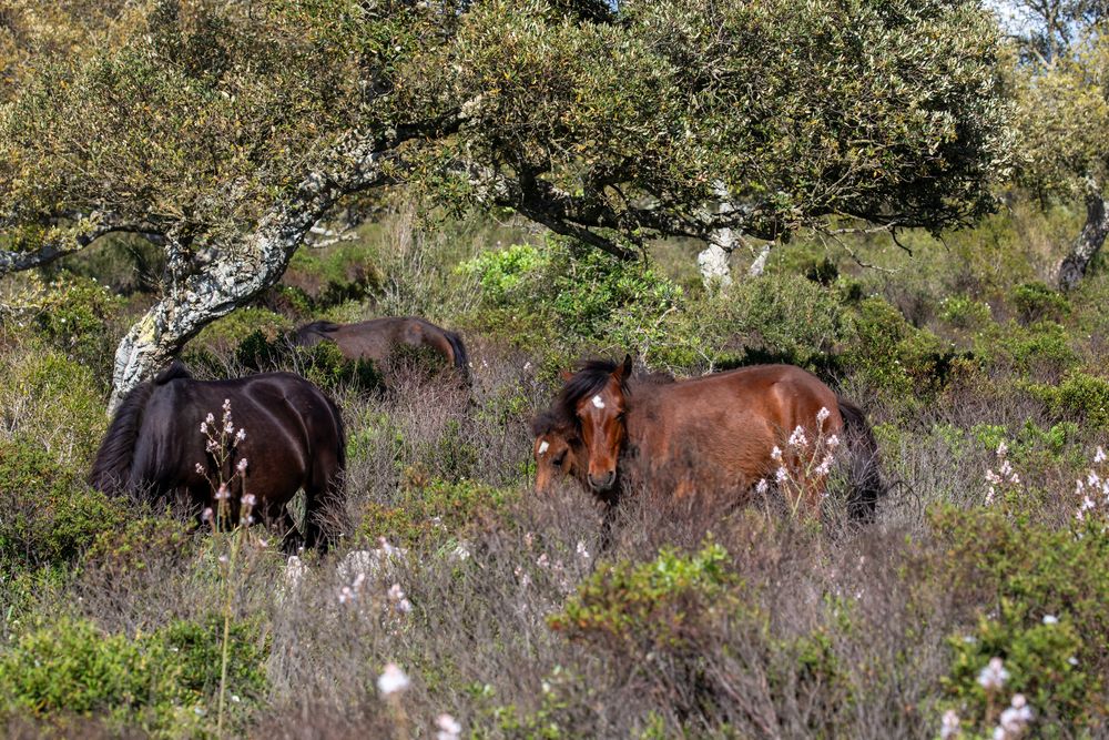 Photograph by Евгения Чех