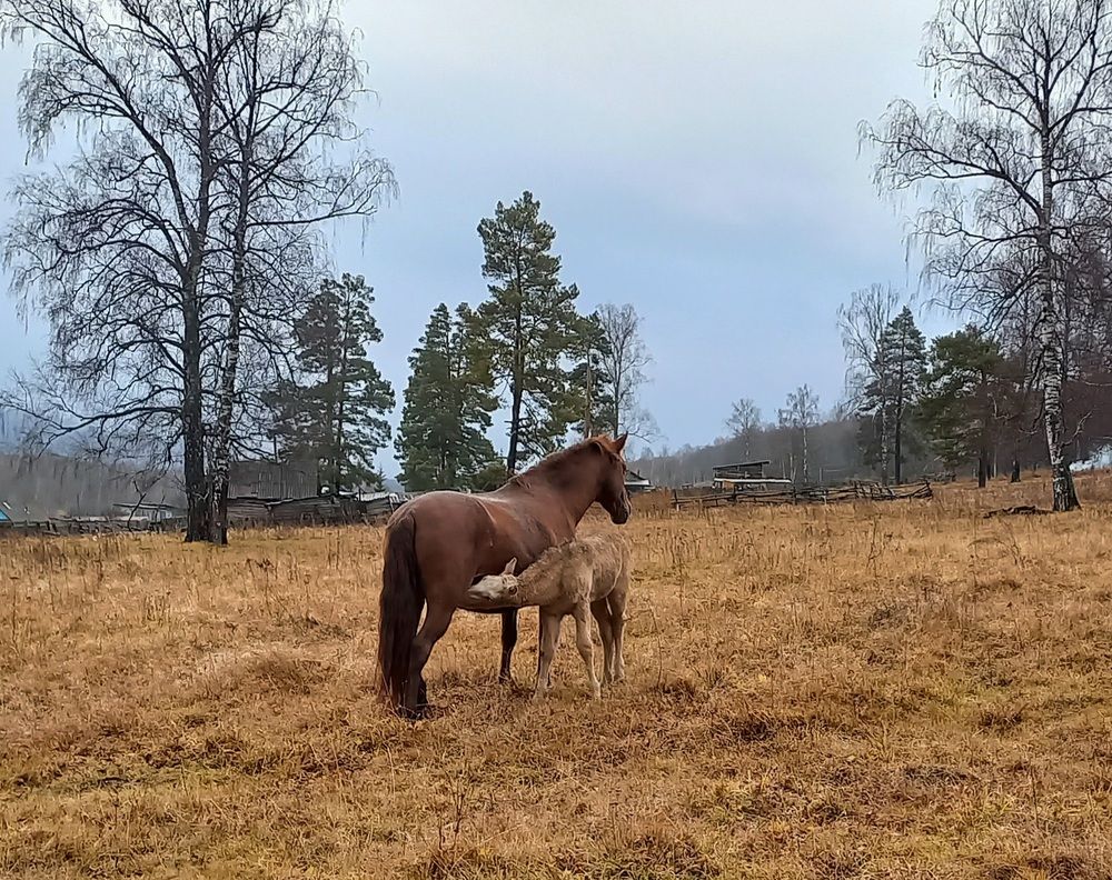 Photograph by Назмутдинова Сауия
