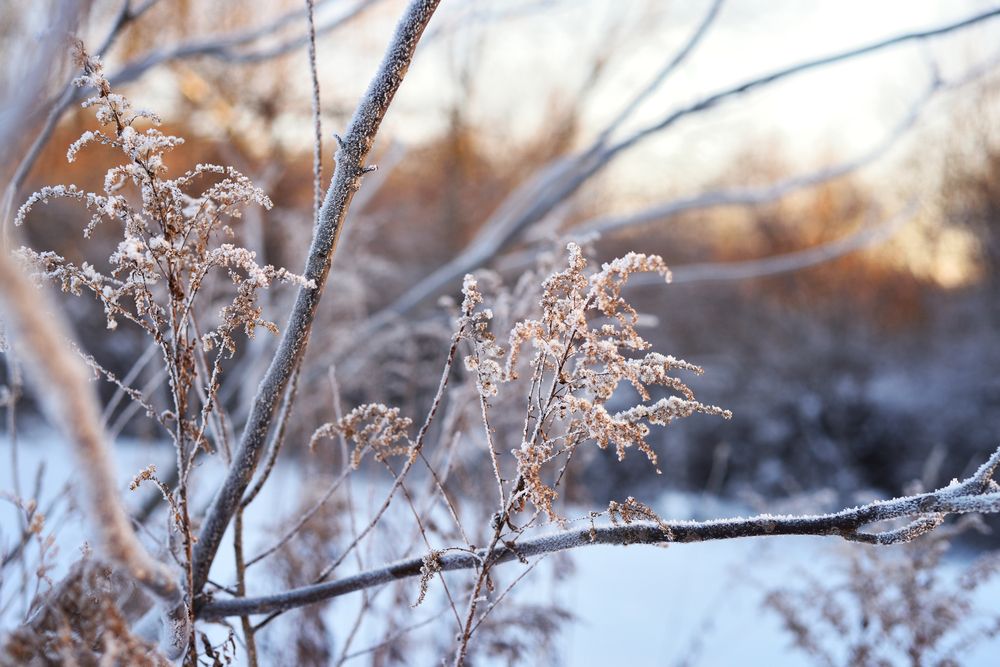 Photograph by Оксана Астрова