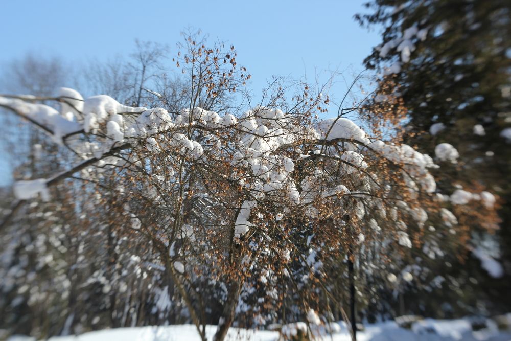 Photograph by KOREYSHA ILYA