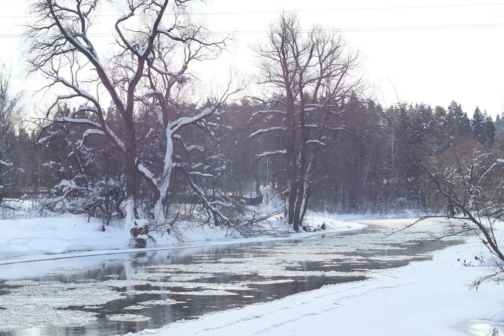 Photograph by KOREYSHA ILYA