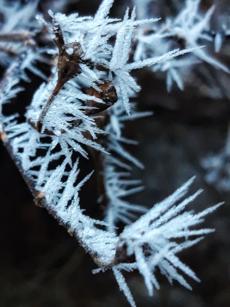 Photograph by Tatyana Busorgina