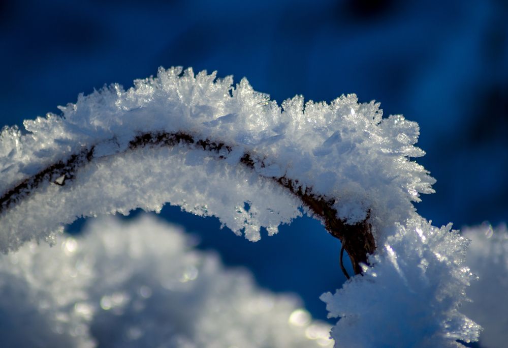 Photograph by Ольга Заповедная