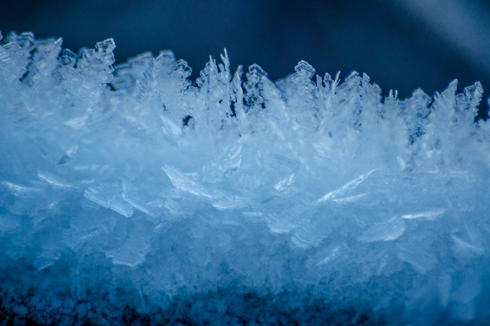 Photograph by Ольга Заповедная