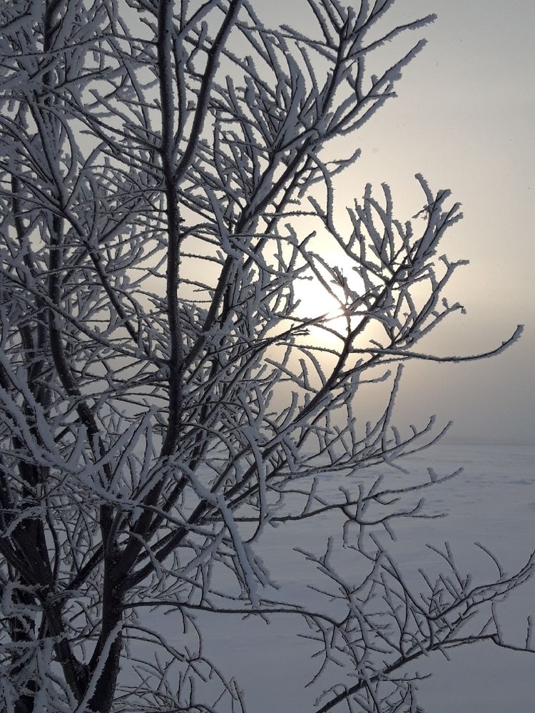 Photograph by Tatyana Busorgina