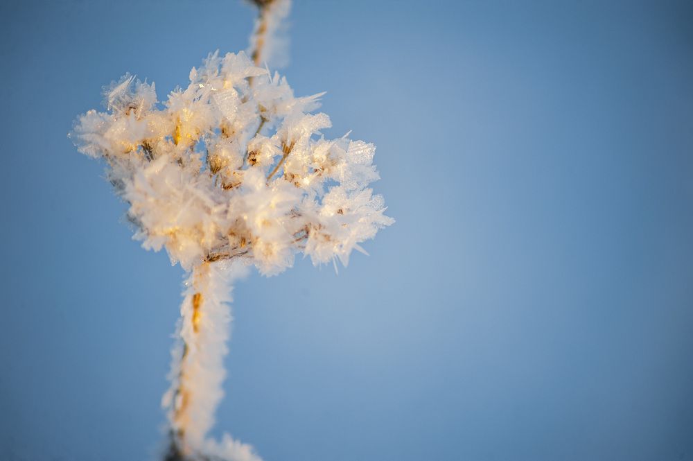 Photograph by Юрий Кухаришин