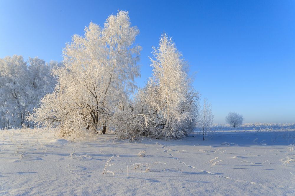 Photograph by виктор ковчин