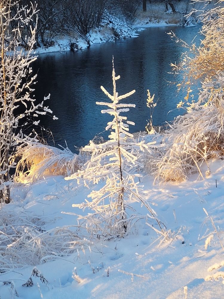 Фотография автора Людмила Казакова