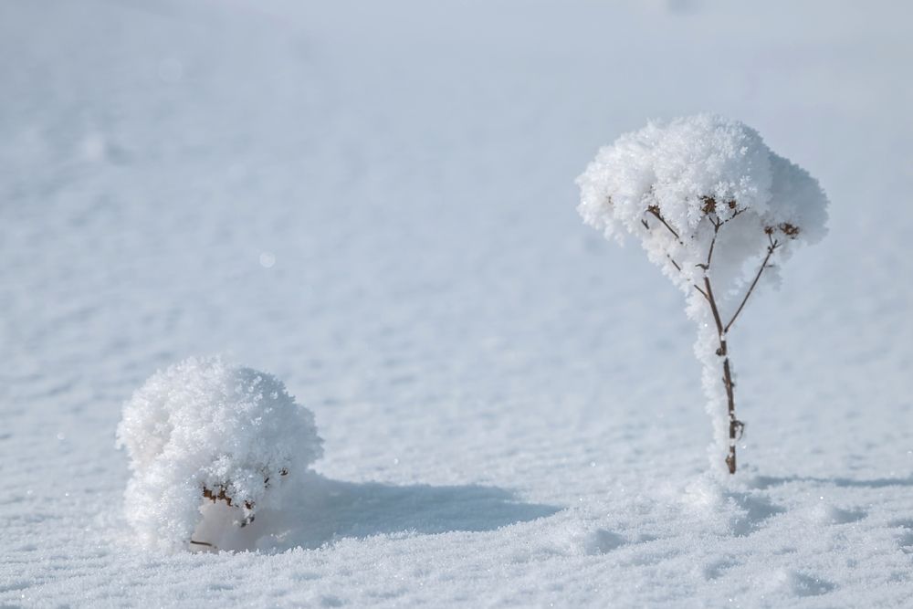 Фотография автора Andrey Pristyazhnyuk