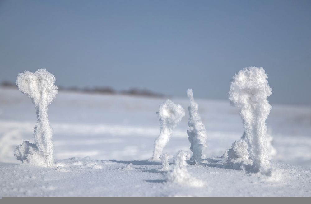 Фотография автора Andrey Pristyazhnyuk