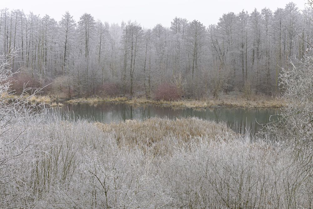 Фотография автора Вадим Копилец