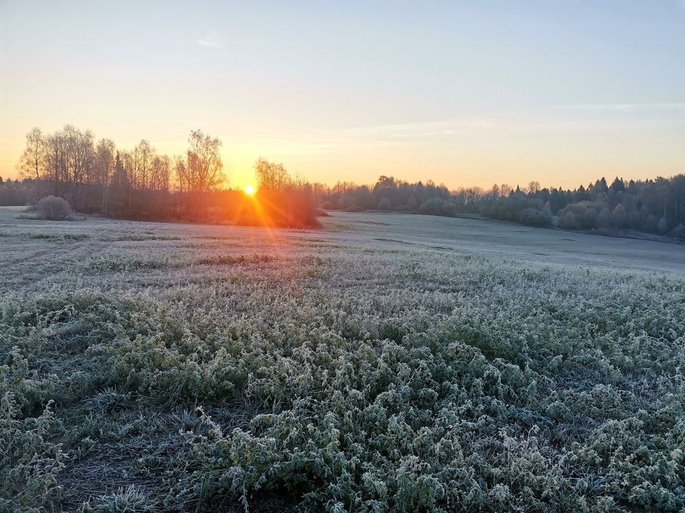 Фотография автора Ольга Давыдова