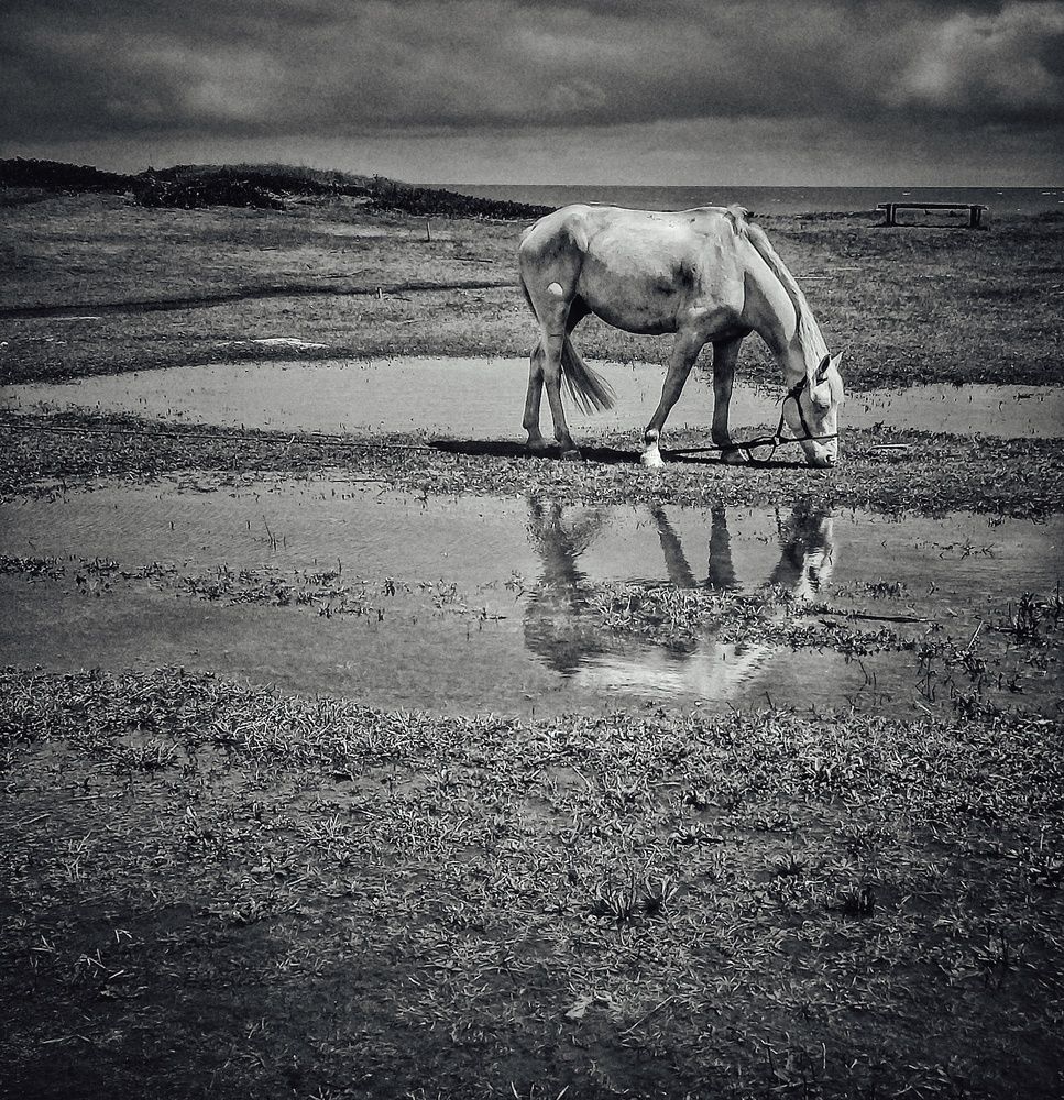 Фотография автора Roberto Hagemann