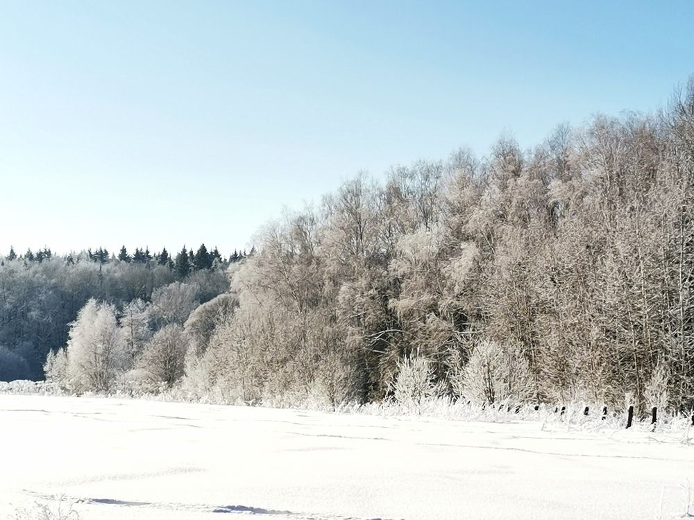 Фотография автора Ольга Давыдова