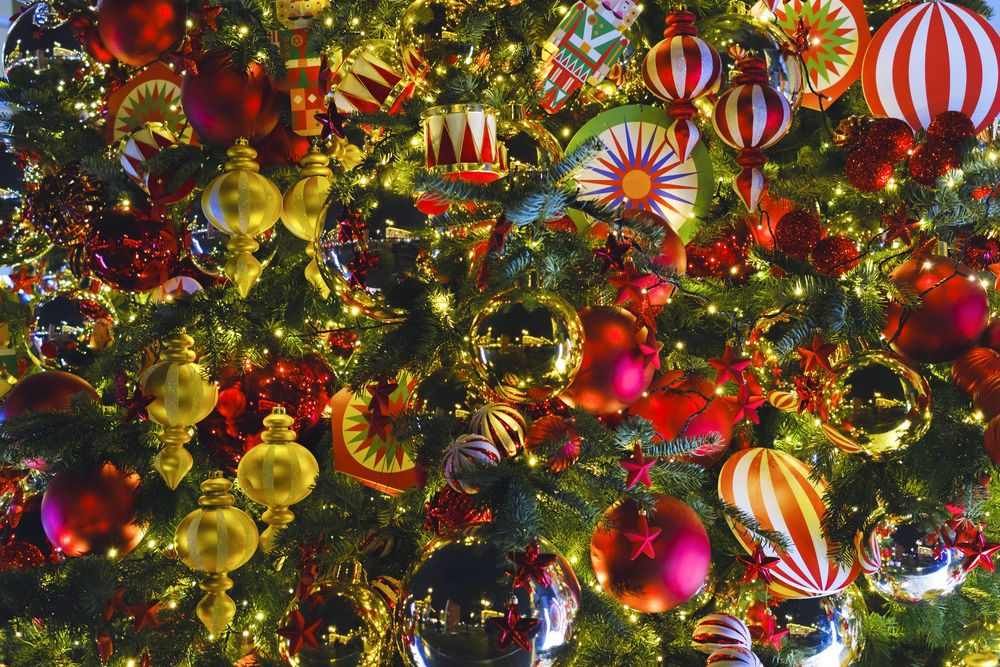 Photograph by Елена Барышева