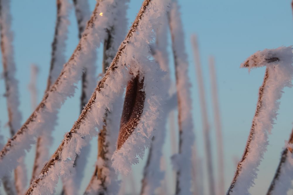 Photograph by Koledova Irina