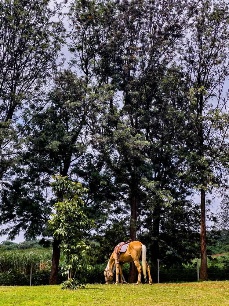 Photograph by Trivet Antony