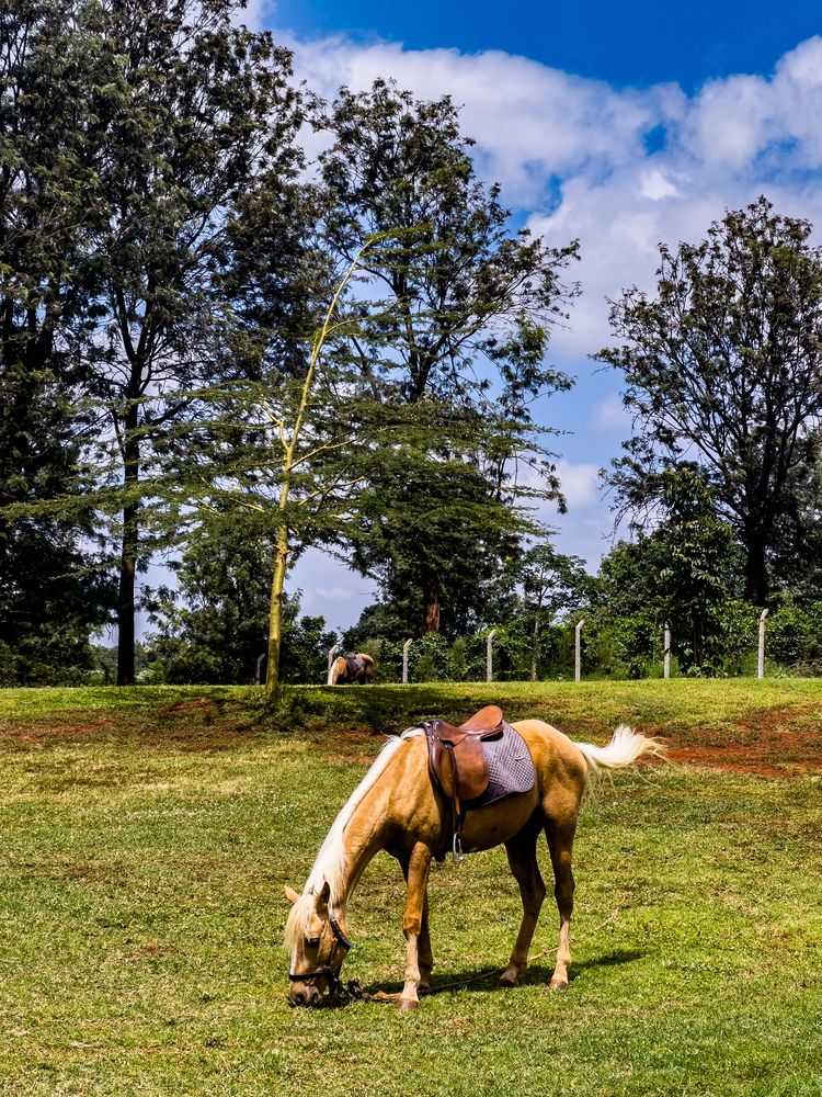 Photograph by Trivet Antony