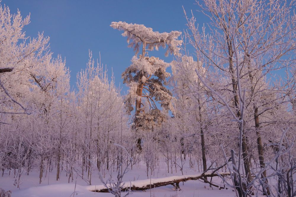 Photograph by Галина Ильясова