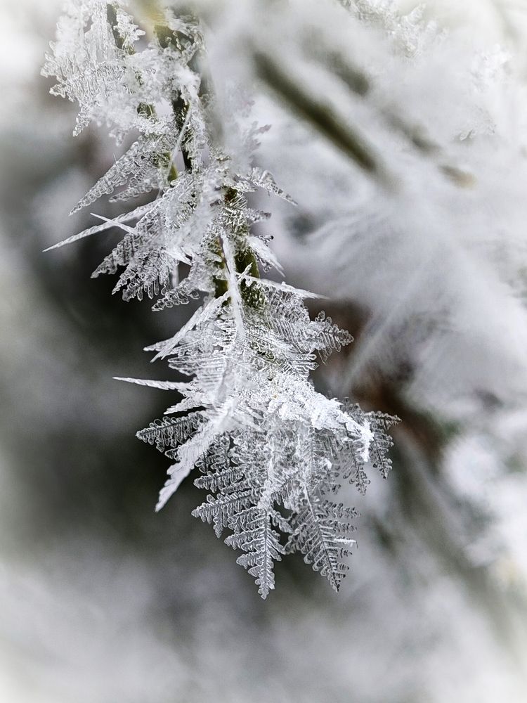 Photograph by Надежда Кангина