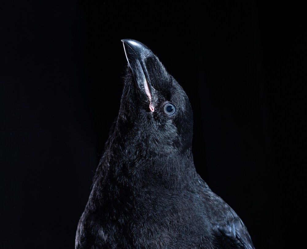 Photograph by Юлия Шестопалова