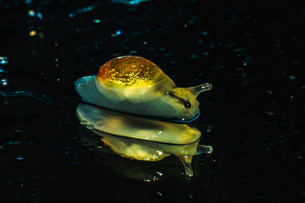Photograph by Tan Khang Quach
