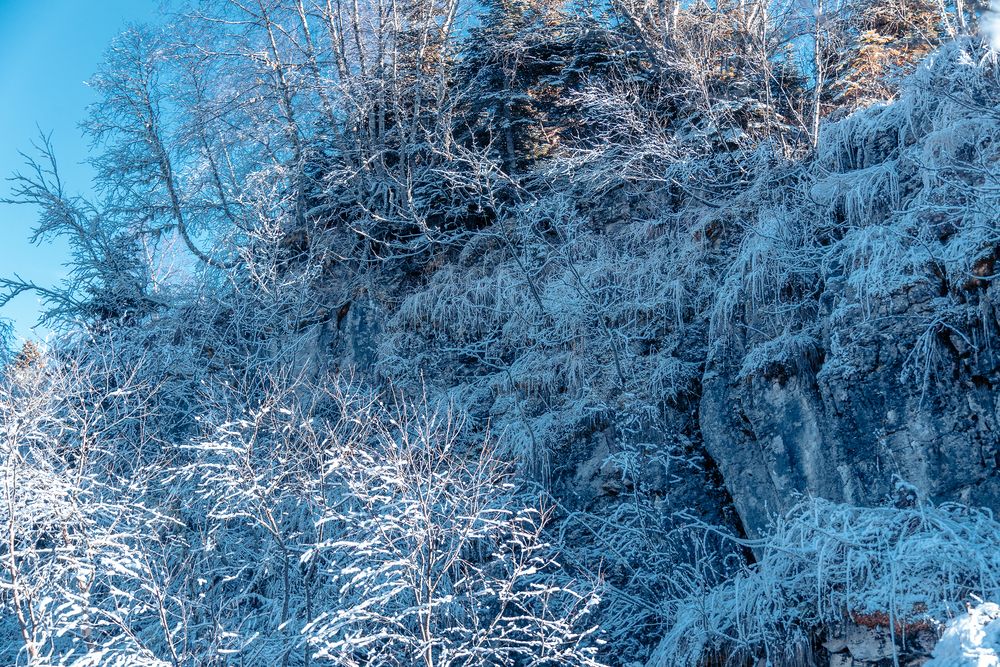 Фотография автора Вадим Коваленко