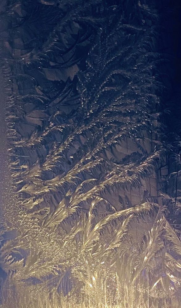 Photograph by Ксения Гулькова