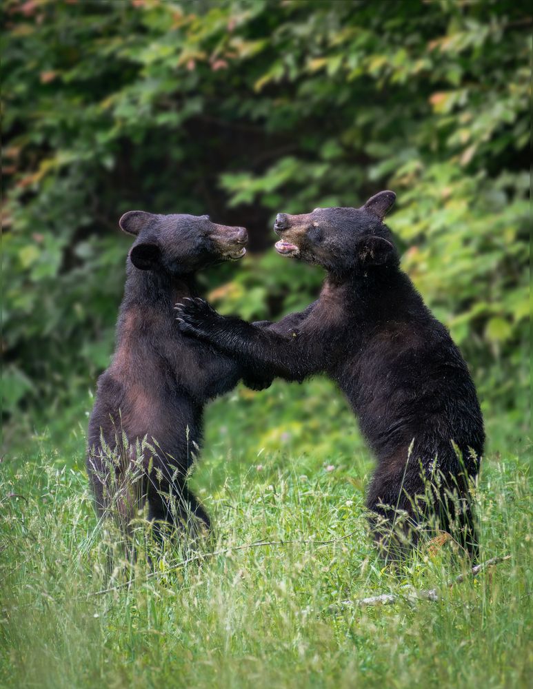 Photograph by Sarah Jane Moore