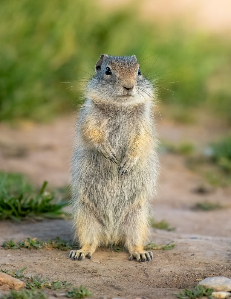 Photograph by Sarah Jane Moore