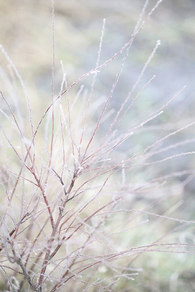 Photograph by Полина Сульженко