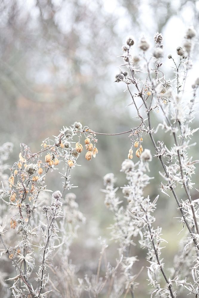 Photograph by Полина Сульженко