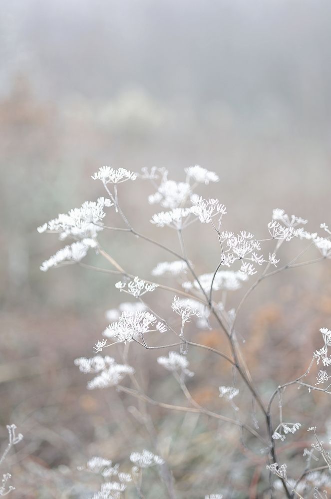 Photograph by Полина Сульженко