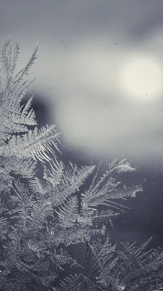 Photograph by Калюнова Наталья