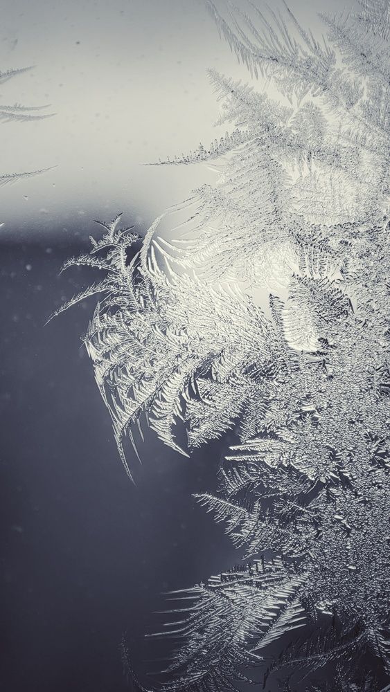 Photograph by Калюнова Наталья