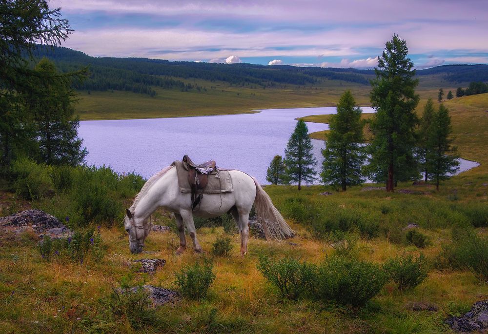 Фотография автора Чичкин Валерий