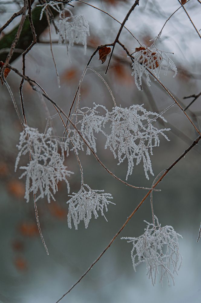 Photograph by Ирина Регульская
