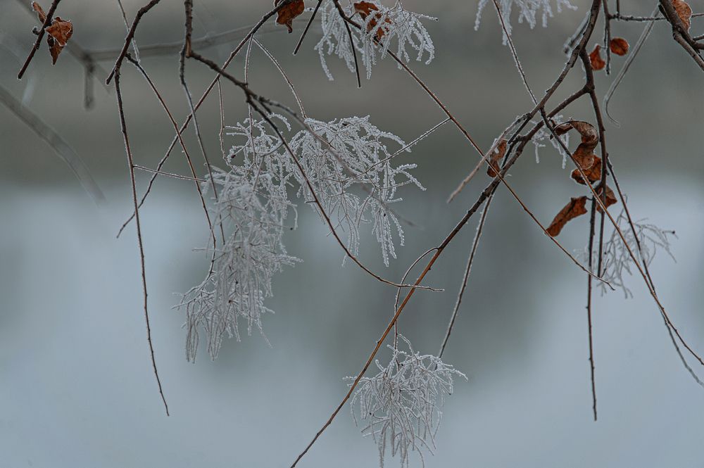 Photograph by Ирина Регульская